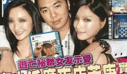 李宗瑞里视频在线观看,揭秘娱乐圈风波背后的真相