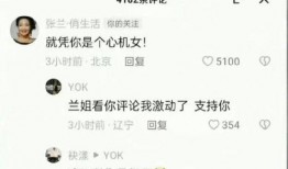 张兰最新爆料聊天记录,揭秘与某明星的惊人聊天记录